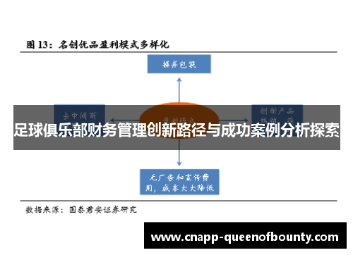 足球俱乐部财务管理创新路径与成功案例分析探索