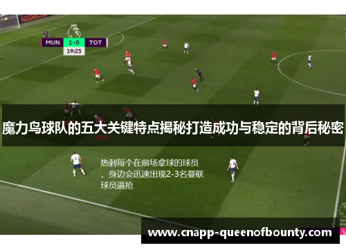 魔力鸟球队的五大关键特点揭秘打造成功与稳定的背后秘密